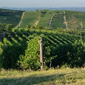 L'estate del turismo di prossimità in Langa, Roero e Monferrato per un ritorno alle radici L'estate del turismo di prossimità in Langa, Roero e Monferrato per un ritorno alle radici