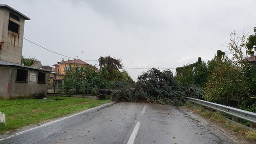 Agosto 2019, 400mila euro di danni da maltempo in Granda: eventi eccezionali, Regione chiede aiuto a Roma