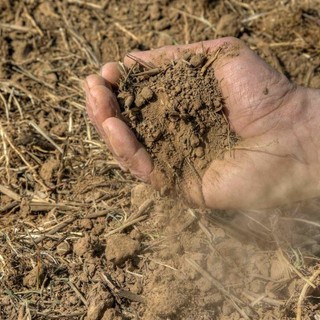 Siccità, Confagricoltura Cuneo: “Non è più un’emergenza, ma una criticità strutturale per l’intero comparto agricolo”
