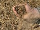Siccità, Confagricoltura Cuneo: “Non è più un’emergenza, ma una criticità strutturale per l’intero comparto agricolo” Siccità, Confagricoltura Cuneo: “Non è più un’emergenza, ma una criticità strutturale per l’intero comparto agricolo”