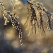 Immagine di repertorio Immagine di repertorio