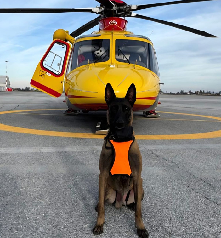 Da oggi sono operative le Unità Cinofile da Valanga del Soccorso Alpino e Speleologico Piemontese nelle basi regionali