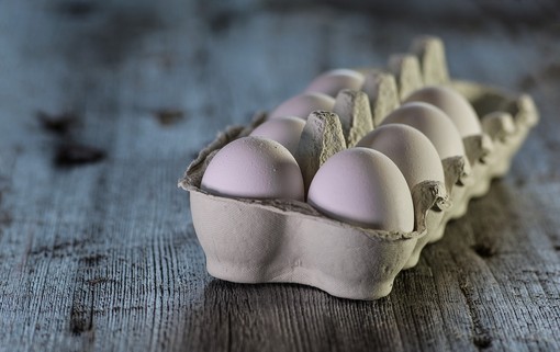 Salmonella nelle uova biologiche, richiamo per 17 lotti della Claudio Olivero di Monasterolo di Savigliano Salmonella nelle uova biologiche, richiamo per 17 lotti della Claudio Olivero di Monasterolo di Savigliano