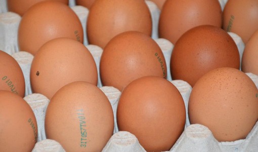 Allarme salmonella nelle uova: richiamato lo stesso lotto di Selex, Despar e Fattorie Natura Coop Allarme salmonella nelle uova: richiamato lo stesso lotto di Selex, Despar e Fattorie Natura Coop