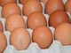 Allarme salmonella nelle uova: richiamato lo stesso lotto di Selex, Despar e Fattorie Natura Coop Allarme salmonella nelle uova: richiamato lo stesso lotto di Selex, Despar e Fattorie Natura Coop
