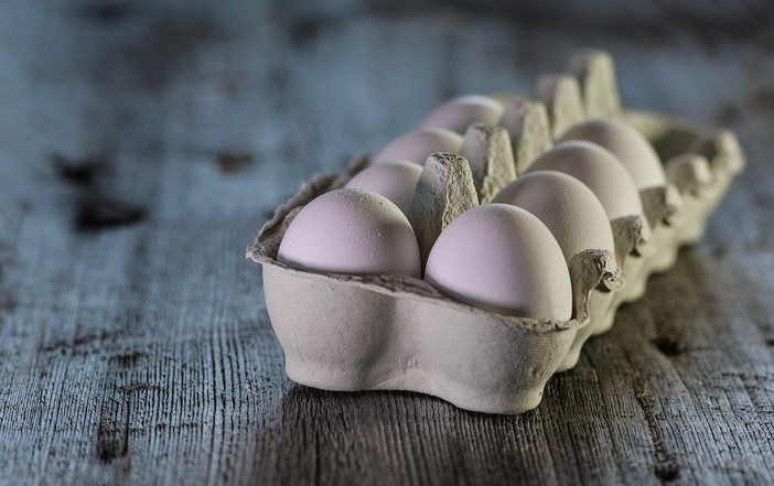 Salmonella nelle uova biologiche, richiamo per 17 lotti della Claudio Olivero di Monasterolo di Savigliano Salmonella nelle uova biologiche, richiamo per 17 lotti della Claudio Olivero di Monasterolo di Savigliano