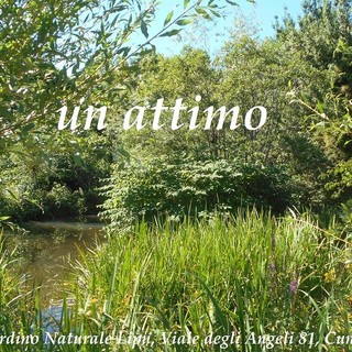 Cuneo, il Comune cerca un custode per il Giardino naturale di viale Angeli