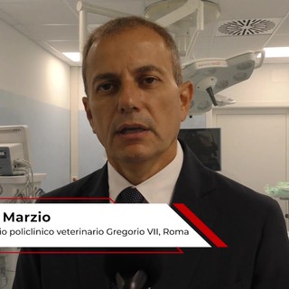 Università: Di Marzio (Gregorio VII), 'qui studenti di Veterinaria hanno occasione formativa unica'