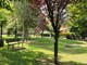 Saluzzo pianta 96 nuovi alberi: il verde urbano si rinnova dopo l'estate più calda mai registrata Saluzzo pianta 96 nuovi alberi: il verde urbano si rinnova dopo l'estate più calda mai registrata