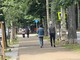 Viale Angeli sarà teatro della passeggiata "a 6 zampe" Viale Angeli sarà teatro della passeggiata "a 6 zampe"