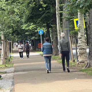 Viale Angeli sarà teatro della passeggiata "a 6 zampe"