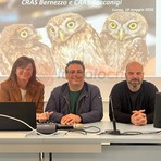 Da sinistra Gabriella Vaschetti, Matteo Attolico e Federico Pellegrino Da sinistra Gabriella Vaschetti, Matteo Attolico e Federico Pellegrino