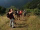 Tradizioni di San Giovanni, birdwatching e attività per bambini: via agli eventi estivi dell’Unione Montana Valle Varaita Tradizioni di San Giovanni, birdwatching e attività per bambini: via agli eventi estivi dell’Unione Montana Valle Varaita