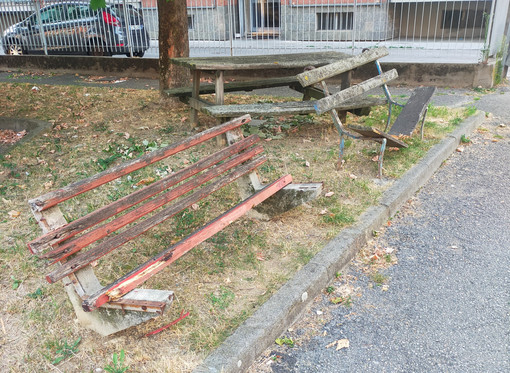 L'area nel mese di agosto L'area nel mese di agosto