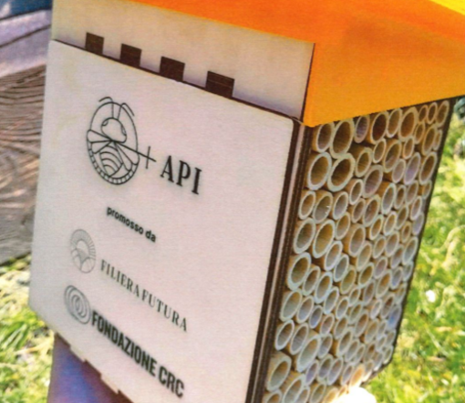Paesana, il viale della Biodiversità: la Fondazione CRC premia il progetto di valorizzazione del Viale dei Caduti Paesana, il viale della Biodiversità: la Fondazione CRC premia il progetto di valorizzazione del Viale dei Caduti