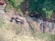 Calabria, arrestato dopo aver appiccato un incendio: era stato ripreso da un drone Calabria, arrestato dopo aver appiccato un incendio: era stato ripreso da un drone