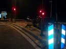 Con la riapertura del tunnel, torneranno tra le macchine in coda anche le volpi del Tenda? Con la riapertura del tunnel, torneranno tra le macchine in coda anche le volpi del Tenda?