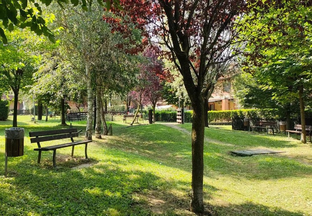 Saluzzo pianta 96 nuovi alberi: il verde urbano si rinnova dopo l'estate più calda mai registrata Saluzzo pianta 96 nuovi alberi: il verde urbano si rinnova dopo l'estate più calda mai registrata