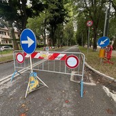 Viale degli Angeli, prove di riapertura parziale? Il presidente di Cuneo Nuova: "In via Bersezio va meglio. Resti aperto fino a corso Vittorio"