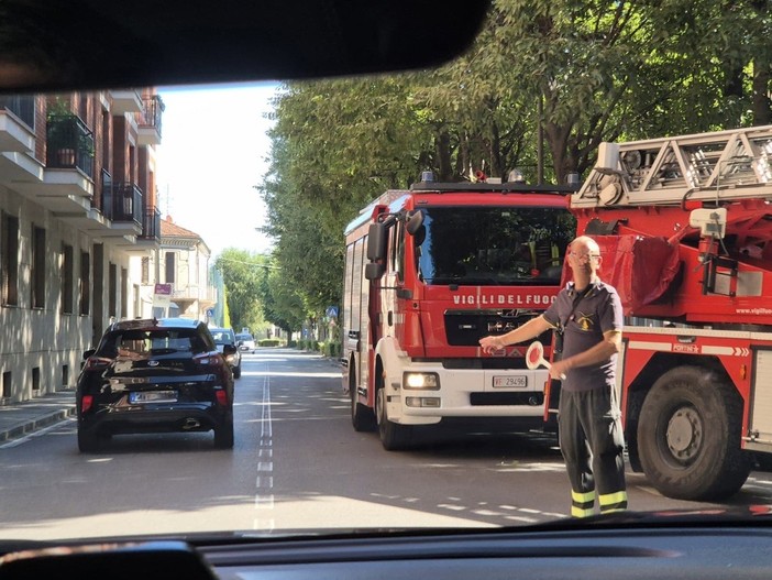 Ramo penzolante in corso Coppino ad Alba: intervento dei vigili del fuoco