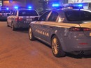 Cuneo, gesto folle nella notte: donna ubriaca lancia il cane dalla finestra Cuneo, gesto folle nella notte: donna ubriaca lancia il cane dalla finestra