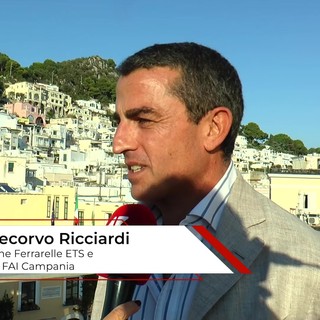 Premio Malaparte, Pontecorvo Ricciardi (Fondazione Ferrarelle ETS ): "Il legame tra Capri e la grande letteratura non va perso"