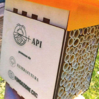 Paesana, il viale della Biodiversità: la Fondazione CRC premia il progetto di valorizzazione del Viale dei Caduti Paesana, il viale della Biodiversità: la Fondazione CRC premia il progetto di valorizzazione del Viale dei Caduti