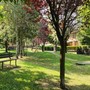 Saluzzo pianta 96 nuovi alberi: il verde urbano si rinnova dopo l'estate più calda mai registrata Saluzzo pianta 96 nuovi alberi: il verde urbano si rinnova dopo l'estate più calda mai registrata