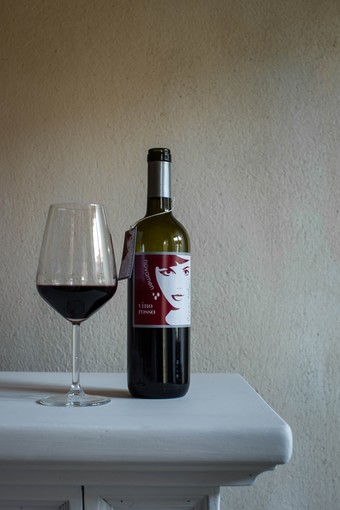 Vino Novamen della Cascina Melognis di Revello, Vino Quotidiano sulla guida Slow Wine 2015- Foto Yoni Nimrod