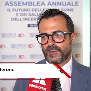 Industria alimentare: Calderone (ASSICA), 'Prosciutto cotto e crudo valgono oltre metà dei consumi'