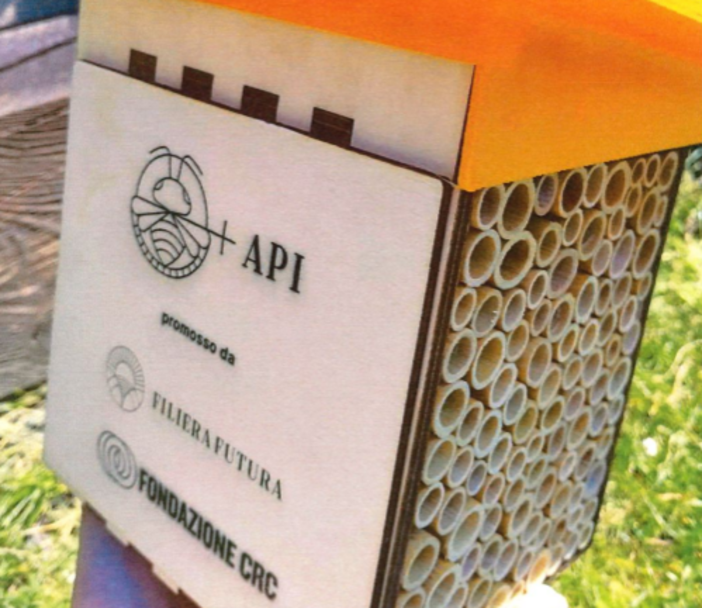 Paesana, il viale della Biodiversità: la Fondazione CRC premia il progetto di valorizzazione del Viale dei Caduti Paesana, il viale della Biodiversità: la Fondazione CRC premia il progetto di valorizzazione del Viale dei Caduti