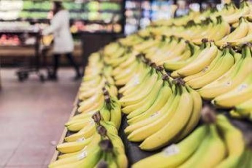 Banana tra potassio e rischio glicemia, meglio acerba o matura? Cosa dice l'esperto Banana tra potassio e rischio glicemia, meglio acerba o matura? Cosa dice l'esperto