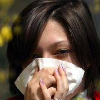 Allergie, con ondata calore precoce boom casi, esperto 'stagionalità sta svanendo' Allergie, con ondata calore precoce boom casi, esperto 'stagionalità sta svanendo'
