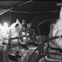 Israele intercetta la Flotilla diretta a Gaza: "175 attivisti ora su nostre imbarcazioni"