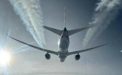 Cimici dei letti a bordo di un aereo proveniente dall'Australia, volo Qantas fermato a Fiumicino: cos'è successo