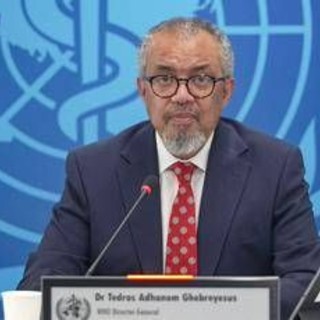 Hantavirus, Oms: "Non è come il coronavirus". Focolaio sulla nave, caccia ai contatti dei passeggeri Hantavirus, Oms: "Non è come il coronavirus". Focolaio sulla nave, caccia ai contatti dei passeggeri