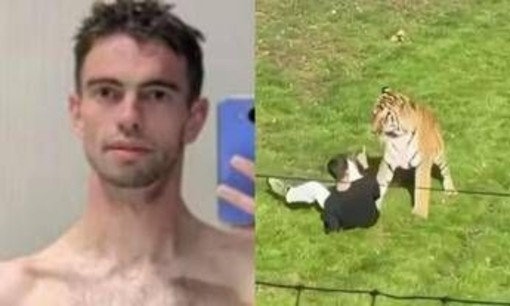 Morto dopo essere stato aggredito da una tigre in un parco, identificata la vittima: chi era William Chapman Morto dopo essere stato aggredito da una tigre in un parco, identificata la vittima: chi era William Chapman