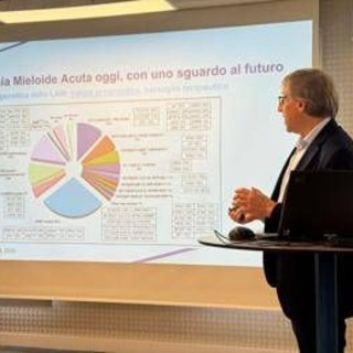 Farmaci, disponibile in Italia quizartinib in leucemia mieloide acuta Flt3-Itd Farmaci, disponibile in Italia quizartinib in leucemia mieloide acuta Flt3-Itd