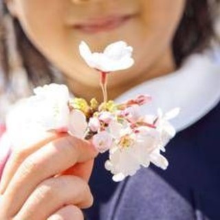 È il primo giorno di primavera, ecco perché l'equinozio cade oggi 20 marzo È il primo giorno di primavera, ecco perché l'equinozio cade oggi 20 marzo