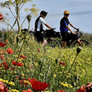 Medicina personalizzata, in bici sulla via Francigena per prevenzione e ricerca contro il cancro Medicina personalizzata, in bici sulla via Francigena per prevenzione e ricerca contro il cancro