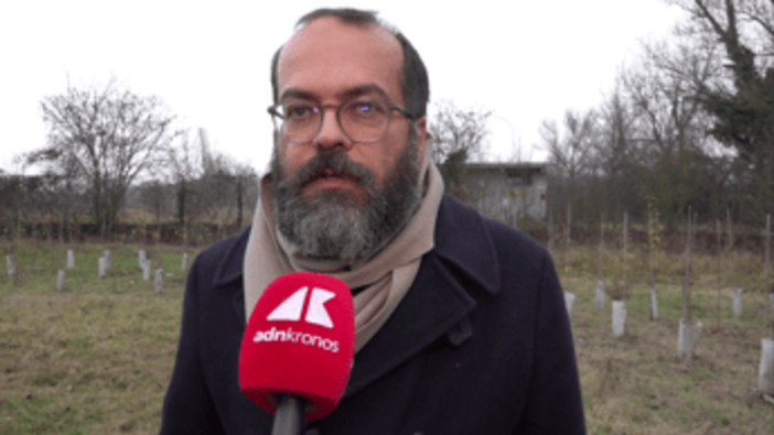 KilometroVerdeParma, più alberi diffusi in città per combattere caldo e cemento KilometroVerdeParma, più alberi diffusi in città per combattere caldo e cemento