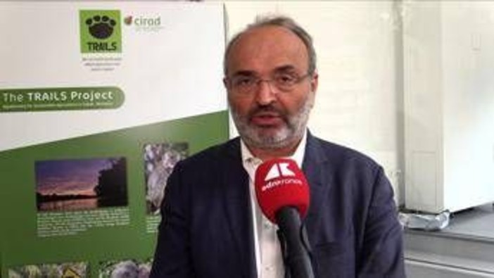 Sostenibilità, Pratesi (Eiis): "Nuove generazioni devono assumersi responsabilità" Sostenibilità, Pratesi (Eiis): "Nuove generazioni devono assumersi responsabilità"