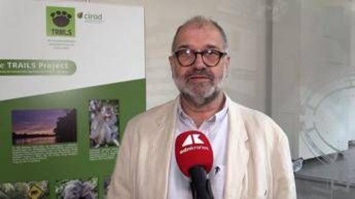 Sostenibilità, Rival (Cirad): "Con Trails integrazione tra foreste e palma da olio" Sostenibilità, Rival (Cirad): "Con Trails integrazione tra foreste e palma da olio"