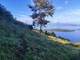 Mundys, Neya lancia in Cile nuovo progetto riforestazione di 170 ettari Mundys, Neya lancia in Cile nuovo progetto riforestazione di 170 ettari