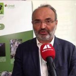 Sostenibilità, Pratesi (Eiis): "Nuove generazioni devono assumersi responsabilità" Sostenibilità, Pratesi (Eiis): "Nuove generazioni devono assumersi responsabilità"