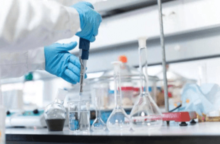 Farmaceutica: Bms Italia tra i Best Workplaces 2026, è seconda tra le aziende medio-grandi Farmaceutica: Bms Italia tra i Best Workplaces 2026, è seconda tra le aziende medio-grandi