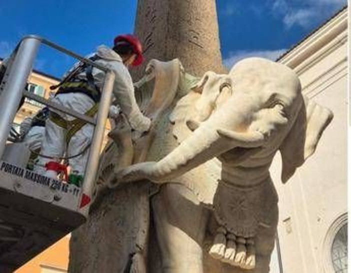 Roma, Elefante di Bernini restaurato dopo distacco della zanna Roma, Elefante di Bernini restaurato dopo distacco della zanna