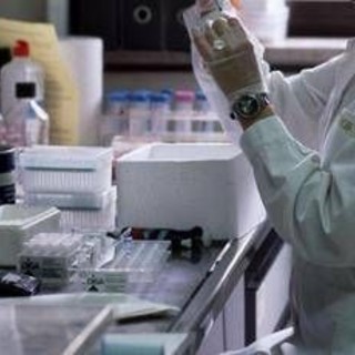 Melanoma, nuove speranze da vaccino sperimentale di Moderna e Merck: "Risultati promettenti" Melanoma, nuove speranze da vaccino sperimentale di Moderna e Merck: "Risultati promettenti"