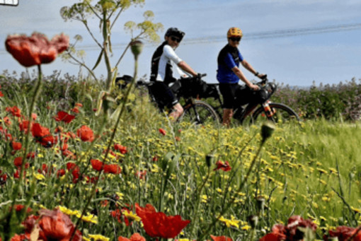 Medicina personalizzata, in bici sulla via Francigena per prevenzione e ricerca contro il cancro Medicina personalizzata, in bici sulla via Francigena per prevenzione e ricerca contro il cancro
