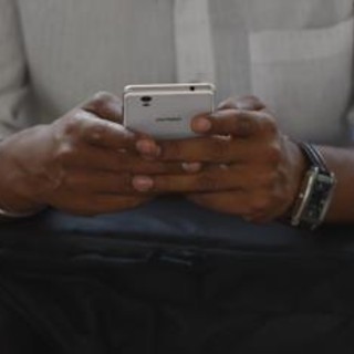Foglia di alloro nella cover del telefono, il significato del trend: porta davvero fortuna? Foglia di alloro nella cover del telefono, il significato del trend: porta davvero fortuna?